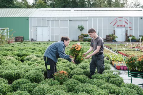 Deux jeunes en formation Horticulture en train de travailler devant les serres de vente