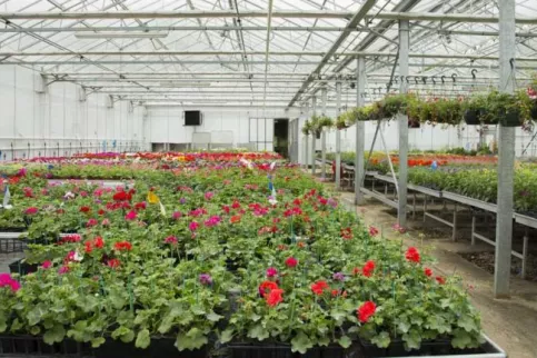 Serres Saint-Antoine