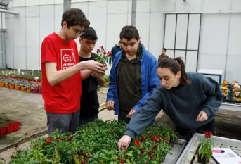 les jeunes travaillent dans la serre de production