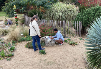 les élèves réalisent le travail de reconnaissance des végétaux