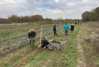 Les élèves plantent des figuiers à la ferme de Compi