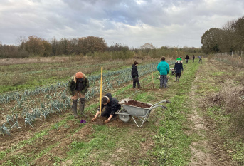 Les élèves plantent des figuiers à la ferme de Compi