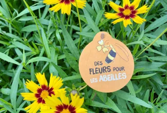 fleurs avec le logo "des fleurs pour les abeilles"
