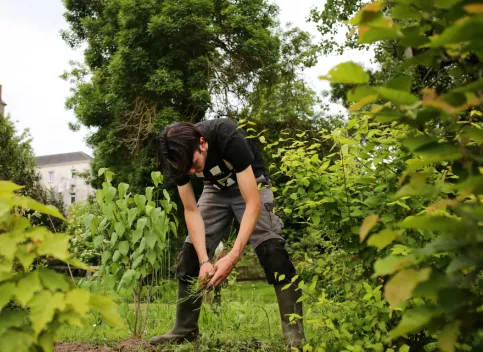Un jeune en tenue de jardinier ramasse des végétaux. 
