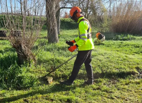 CAP Jardinier paysagiste