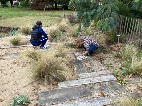 les élèves réalisent le travail de reconnaissance des végétaux