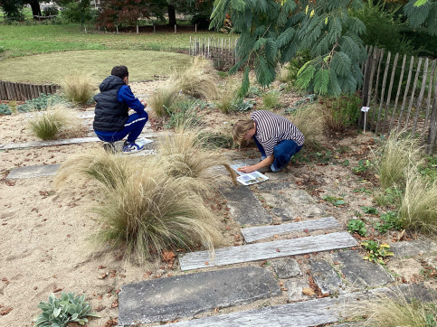 les élèves réalisent le travail de reconnaissance des végétaux