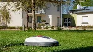 La tondeuse autonome dans les jardins du campus