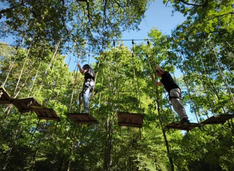 un élève fait de l'accrobranche
