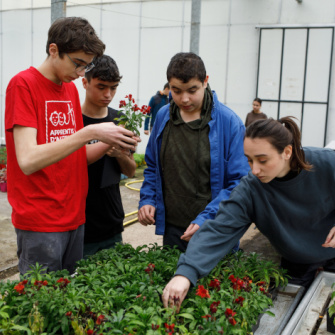 les jeunes travaillent dans la serre de production