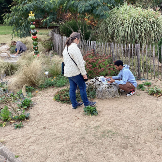 les élèves réalisent le travail de reconnaissance des végétaux