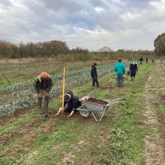 Les élèves plantent des figuiers à la ferme de Compi