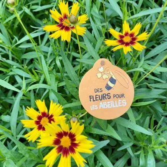 fleurs avec le logo "des fleurs pour les abeilles"