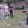 Les 4 jeunes qui ont participé au concours MAF régional reçoivent leur médaille d'or