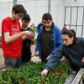 les jeunes travaillent dans la serre de production